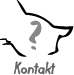 Kontakt