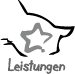 Leistungen